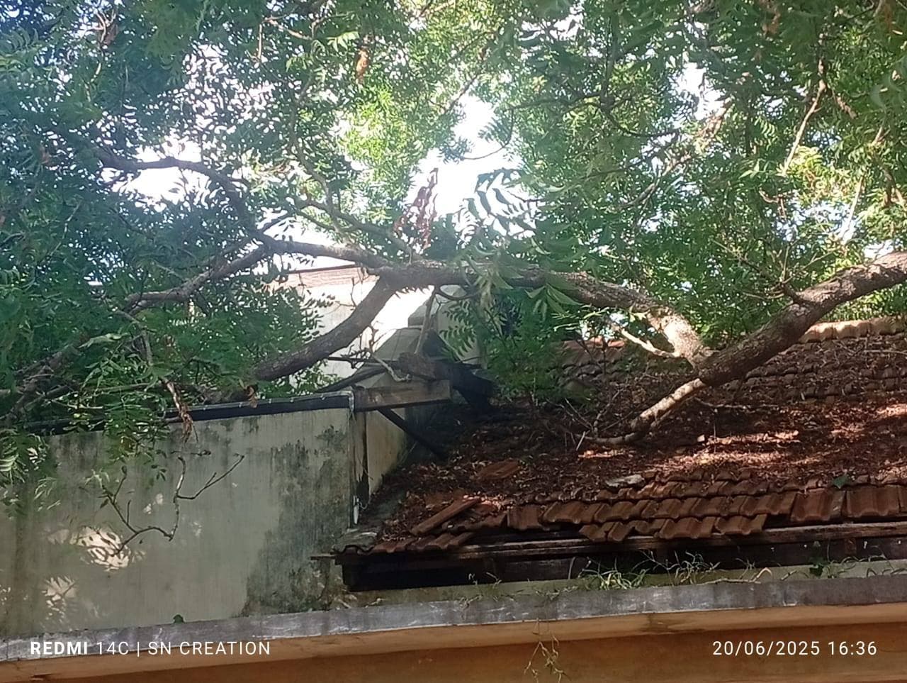 A Social Worker in Reviving Unused Community Spaces - Image 3