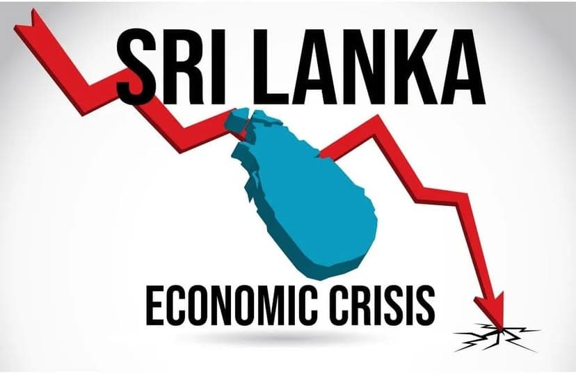 The Role of Social Workers in Overcoming the Economic Crisis in Sri Lanka