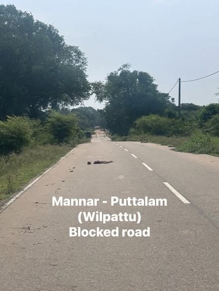 A Road Through Wilpattu